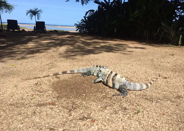 Casa Blanca Hotel Tamarindo
